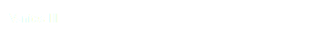 Vanitas III