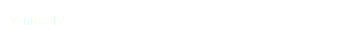 Vanitas IV