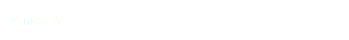 Vanitas V